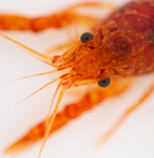 gestaltungspunkt blickpunkt galerie