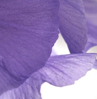 gestaltungspunkt blickpunkt galerie