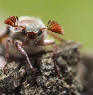 gestaltungspunkt blickpunkt galerie