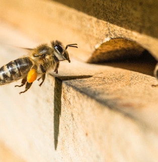 gestaltungspunkt blickpunkt galerie